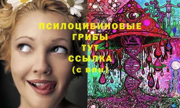 таблы Вязьма