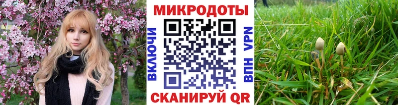 Псилоцибиновые грибы Psilocybe  Купить где  Ахтырский 